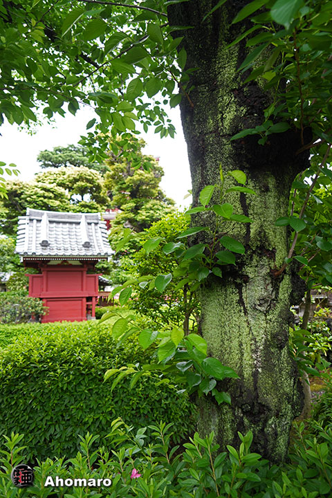 写真00