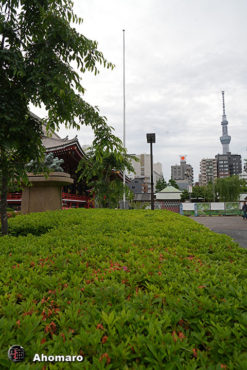 写真00