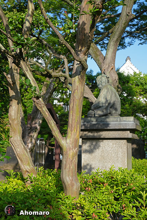 写真00