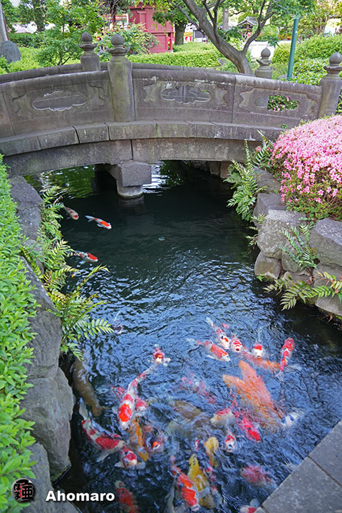 写真00