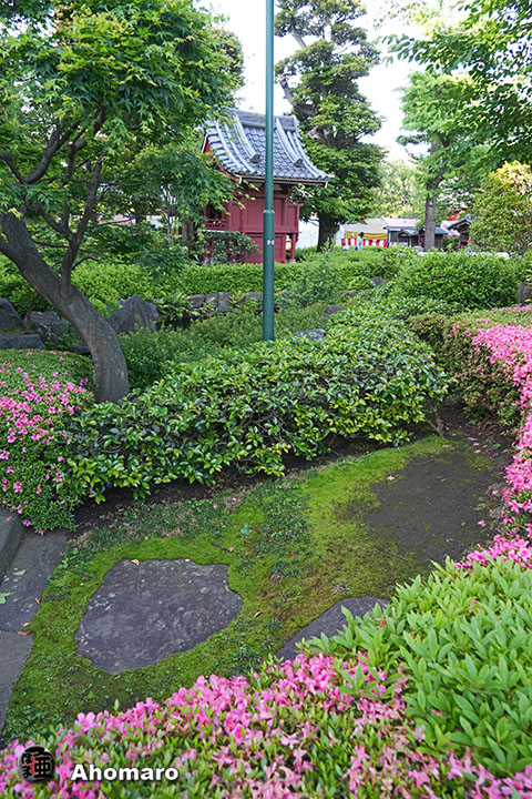 写真00