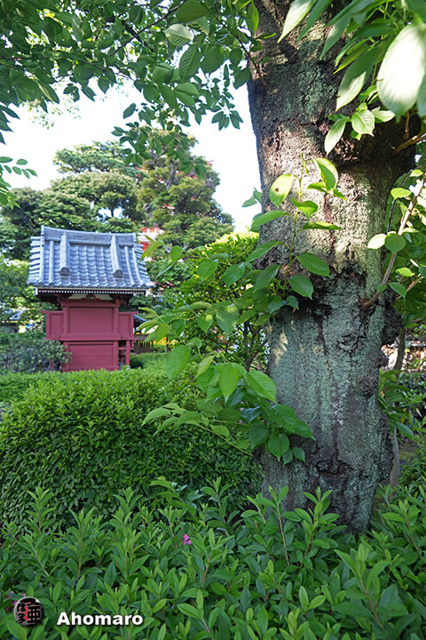 写真00