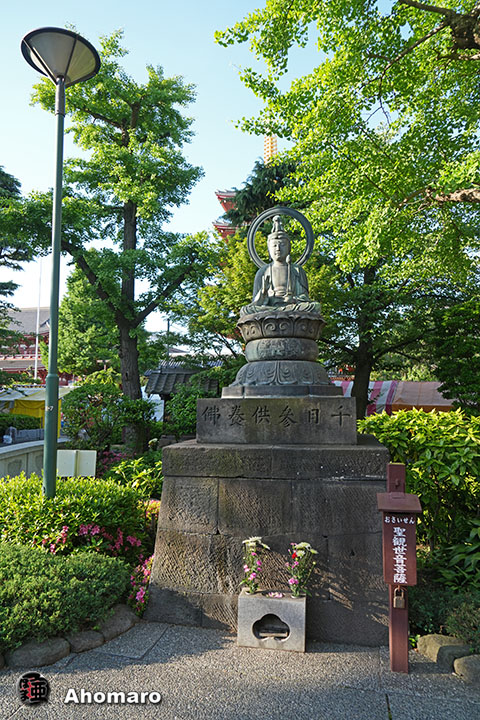 写真00
