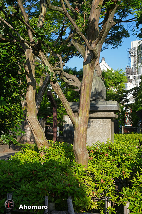 写真00