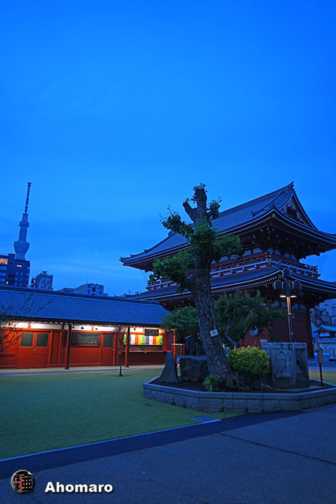写真00