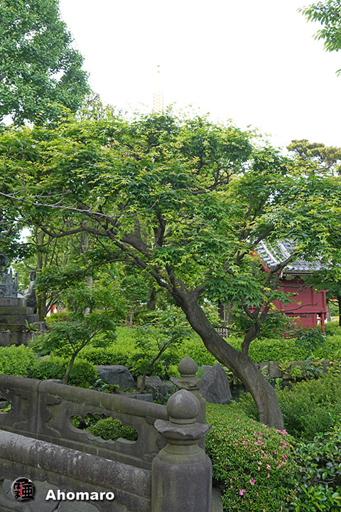 写真00