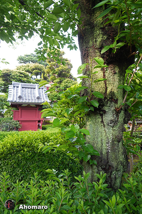写真00