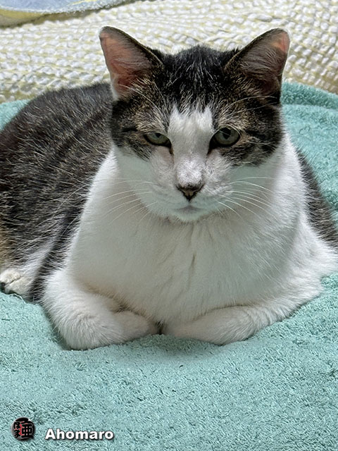 ʐ^00