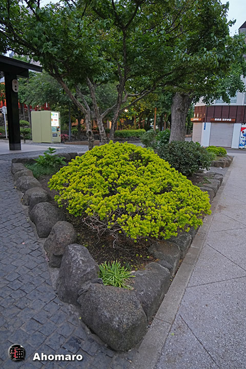 写真00