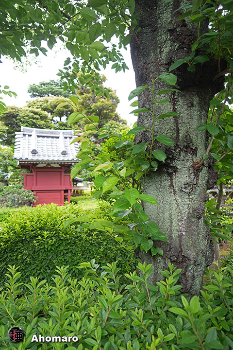 写真00