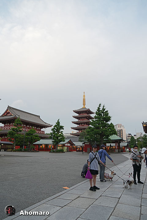 写真00