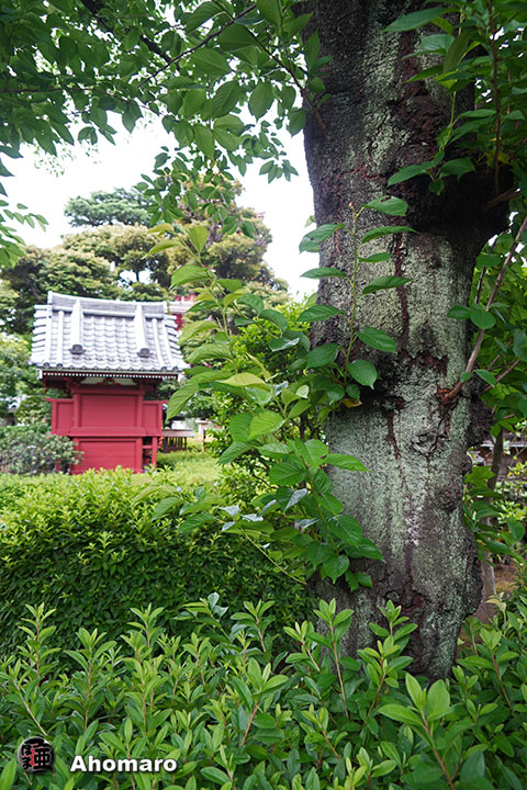 写真00