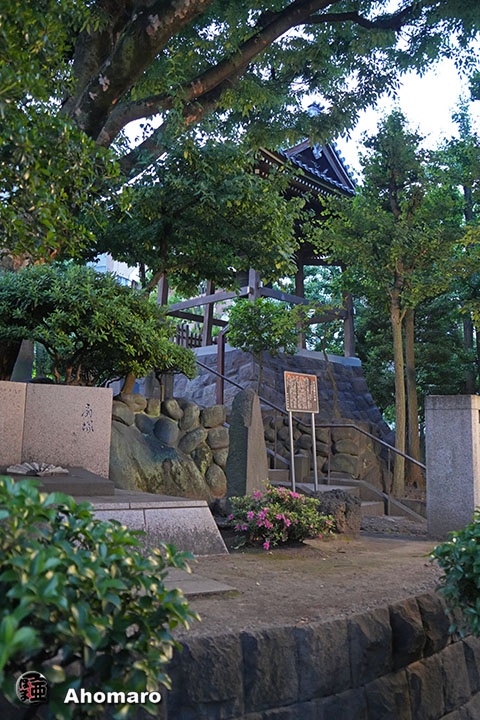 写真00