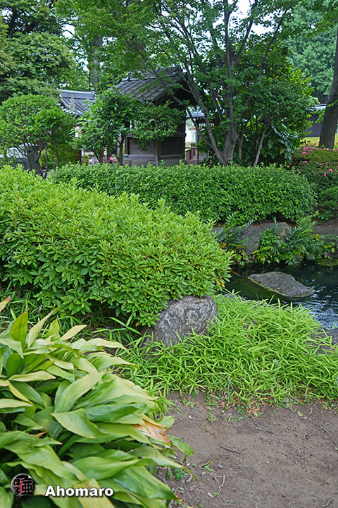 写真00