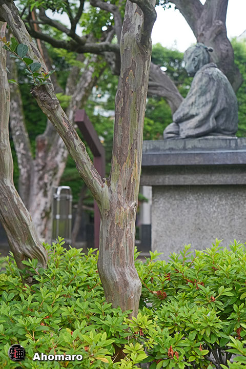 写真00