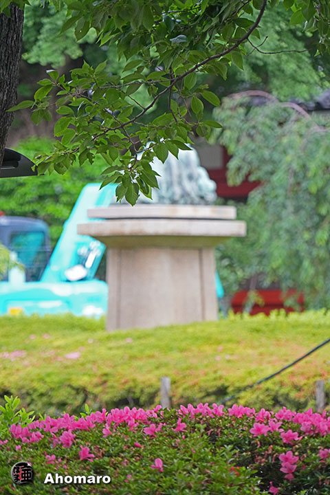 写真00