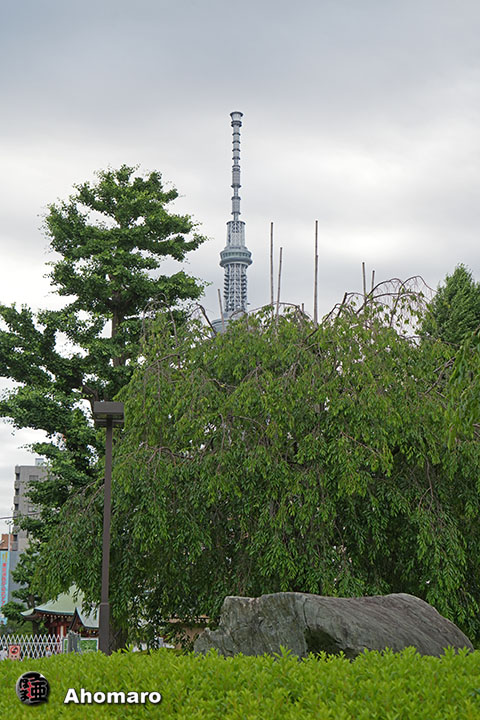 写真00
