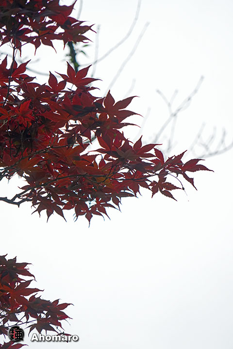 写真00