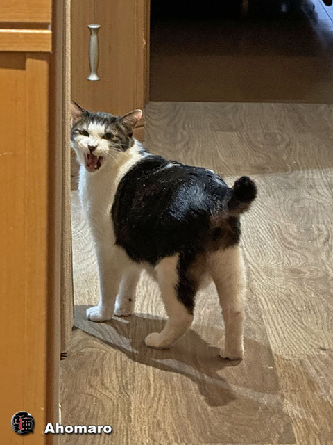 ʐ^00