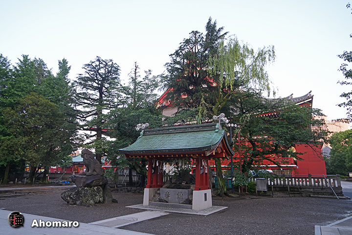 写真00