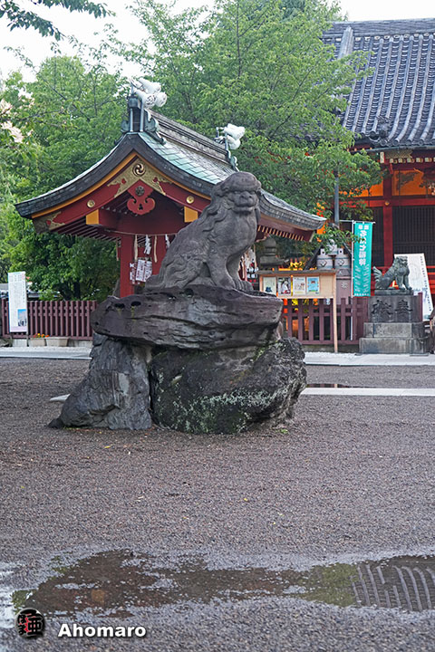 写真00