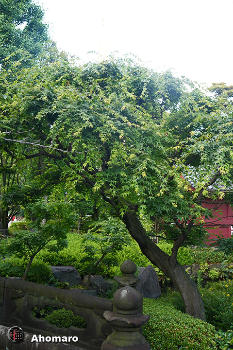 写真00