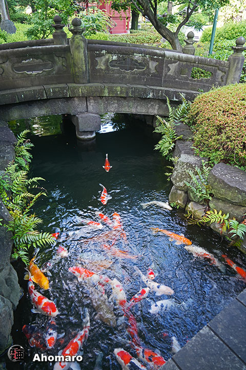 写真00
