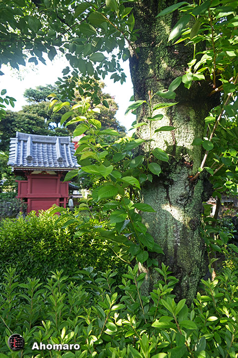 写真00