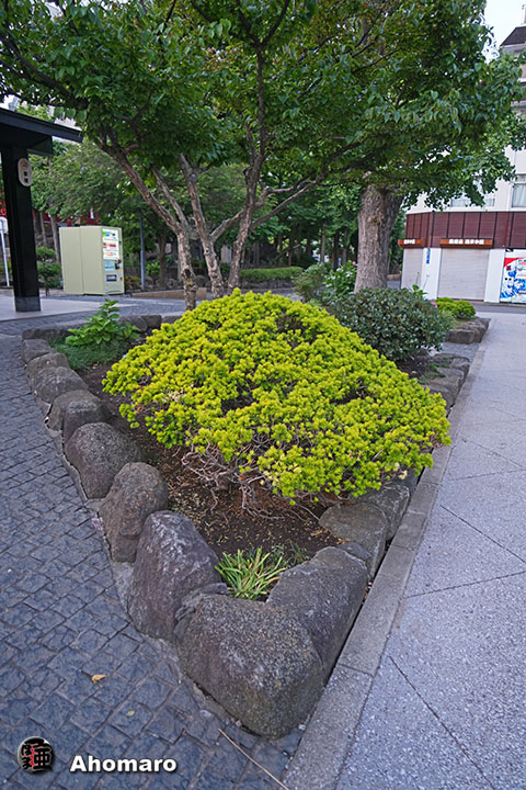 写真00
