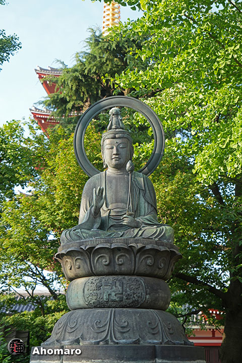 写真00