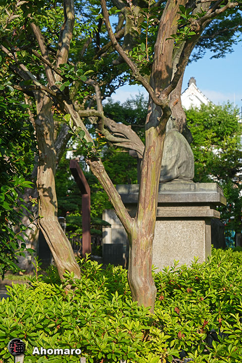 写真00