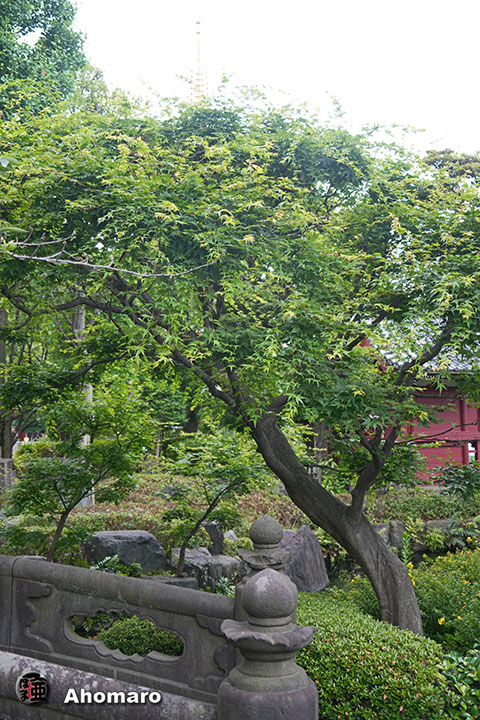 写真00