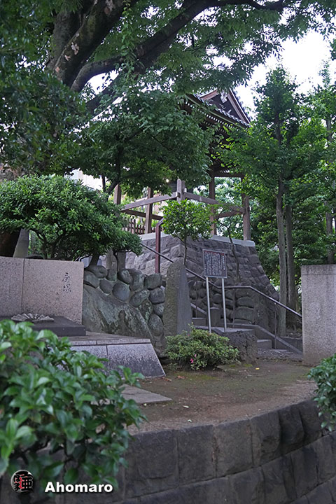 写真00