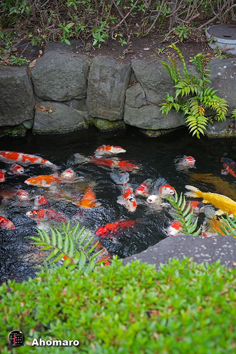 写真00