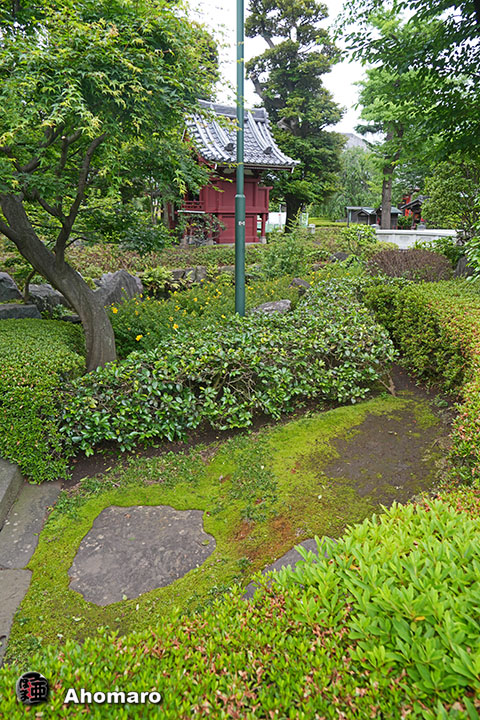 写真00