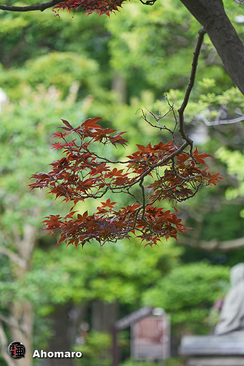 写真00
