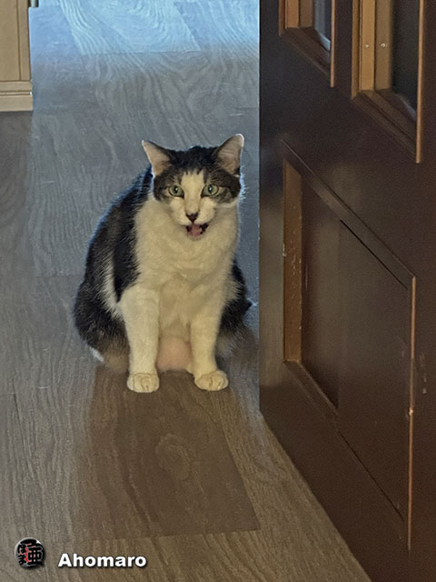 ʐ^00