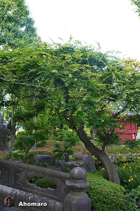 写真00