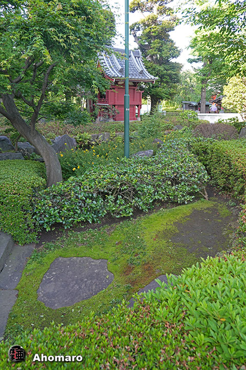 写真00