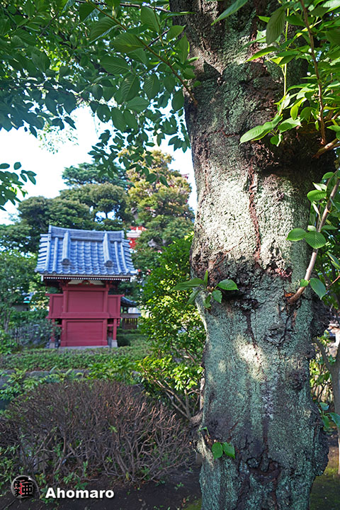 写真00