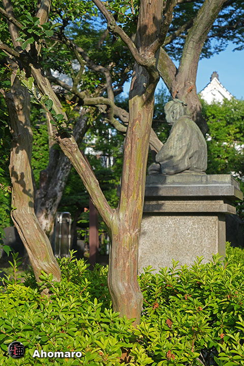 写真00