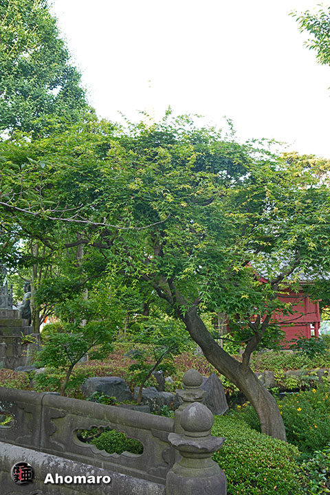 写真00