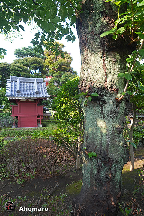 写真00