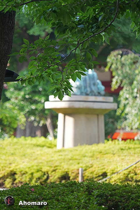 写真00