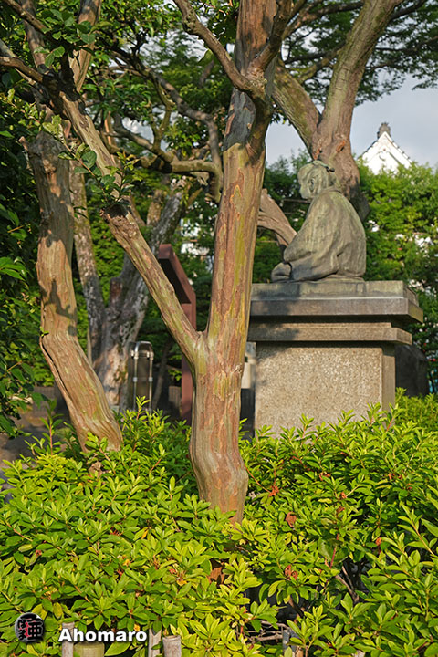 写真00