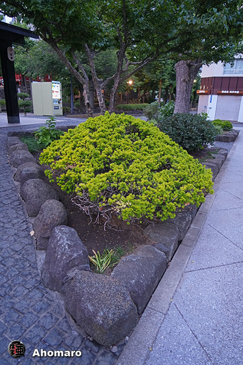 写真00