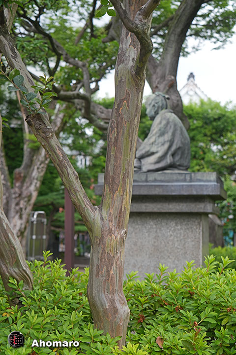 写真00