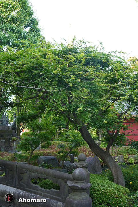 写真00