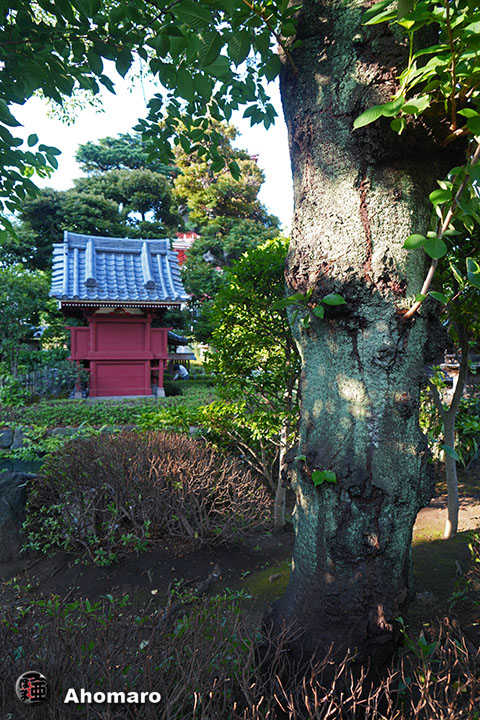 写真00