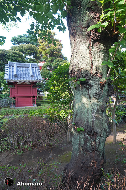 写真00